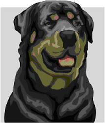 Dog Bite Cases by Attorney Norman Gregory Fernandez